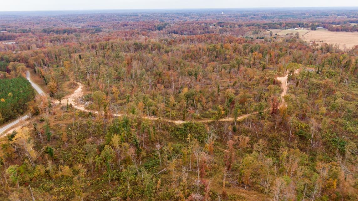 Xxxx Mouse Tail Road Parsons, TN 38363 - Photo 21 of 35 Photo 21