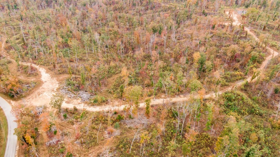 Xxxx Mouse Tail Road Parsons, TN 38363 - Photo 25 of 35 Photo 25