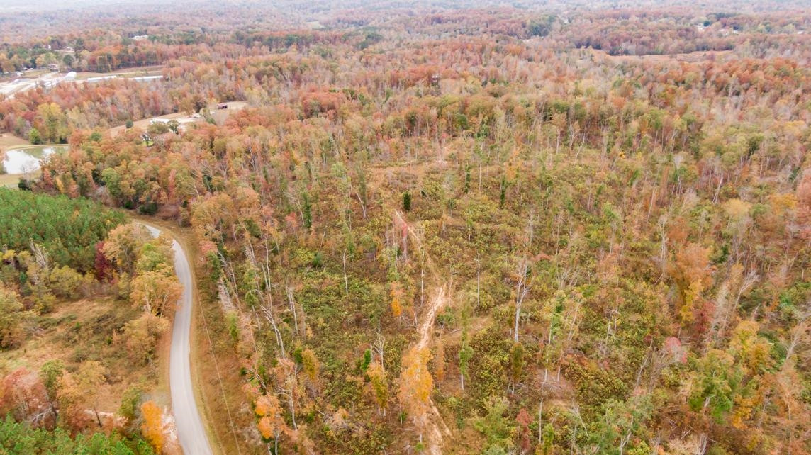 Xxxx Mouse Tail Road Parsons, TN 38363 - Photo 29 of 35 Photo 29