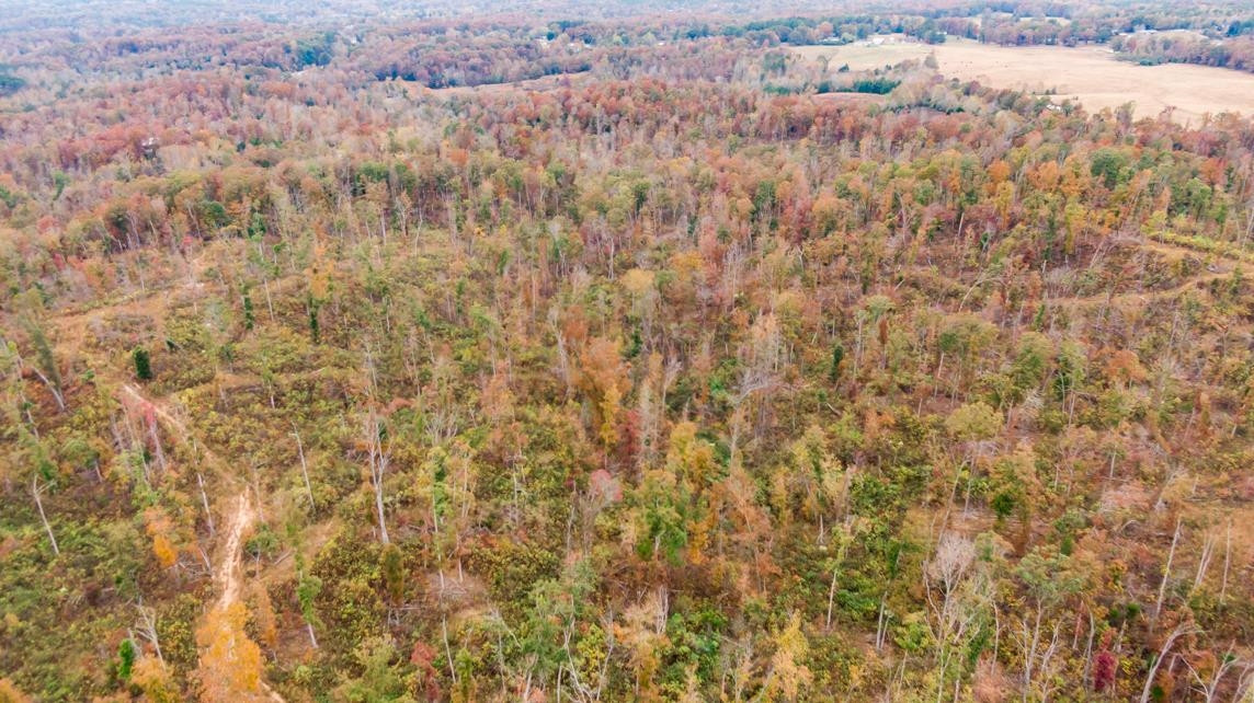 Xxxx Mouse Tail Road Parsons, TN 38363 - Photo 30 of 35 Photo 30