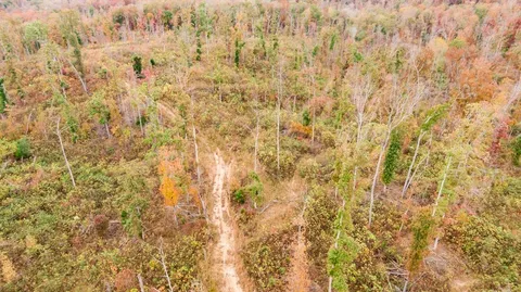 $699,750 | Xxxx Mouse Tail Road, Parsons, TN 38363