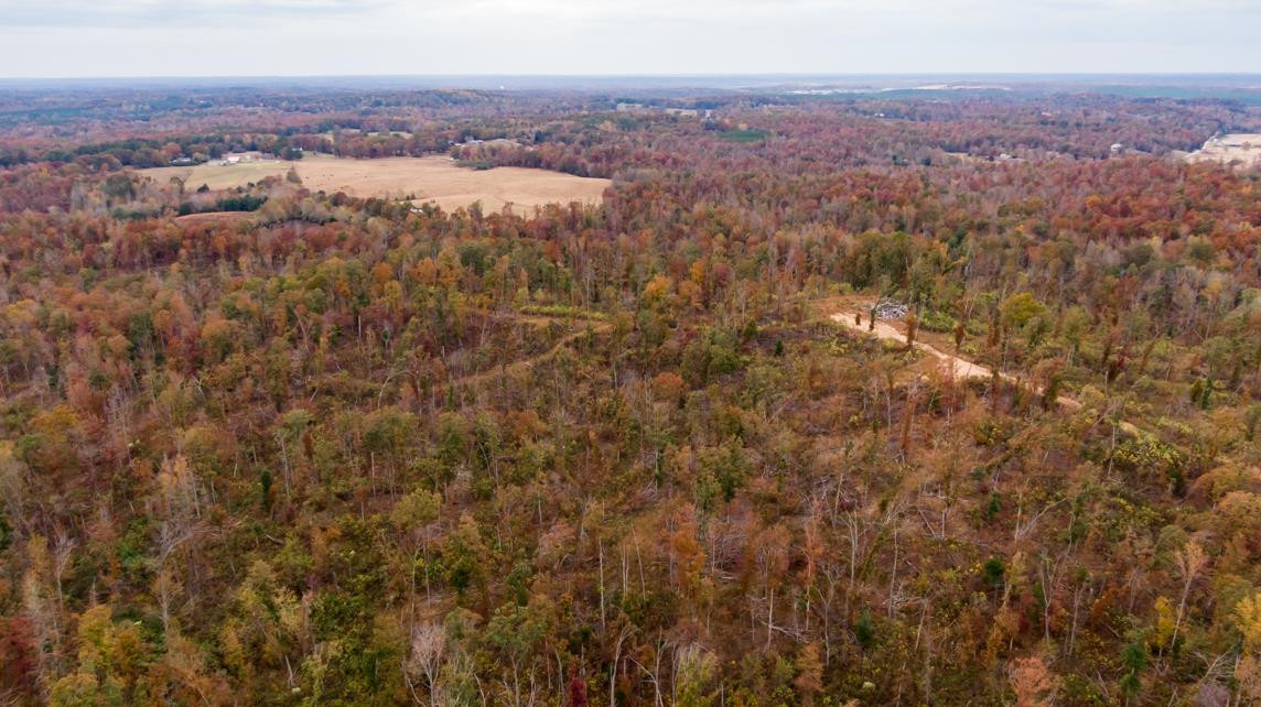 Xxxx Mouse Tail Road Parsons, TN 38363 - Photo 34 of 35 Photo 34