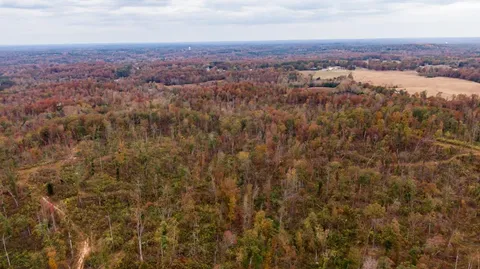 $699,750 | Xxxx Mouse Tail Road, Parsons, TN 38363