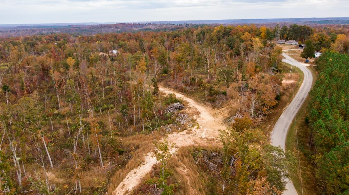 Xxxx Mouse Tail Road Parsons, TN 38363 - Photo 4 of 35 Photo 4