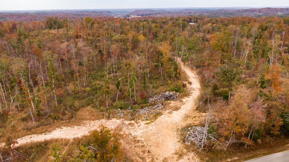 Xxxx Mouse Tail Road Parsons, TN 38363 - Photo 5 of 35 Photo 5