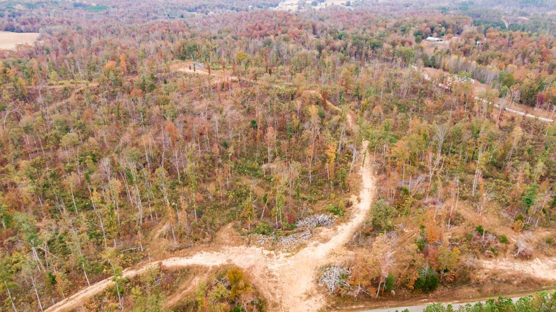 Xxxx Mouse Tail Road Parsons, TN 38363 - Photo 6 of 35 Photo 6