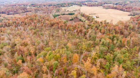 $699,750 | Xxxx Mouse Tail Road, Parsons, TN 38363