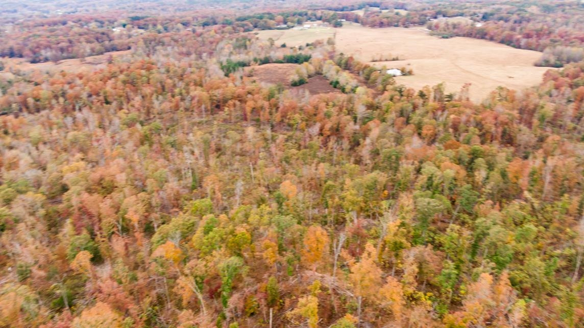 Xxxx Mouse Tail Road Parsons, TN 38363 - Photo 8 of 35 Photo 8