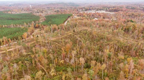 $699,750 | Xxxx Mouse Tail Road, Parsons, TN 38363