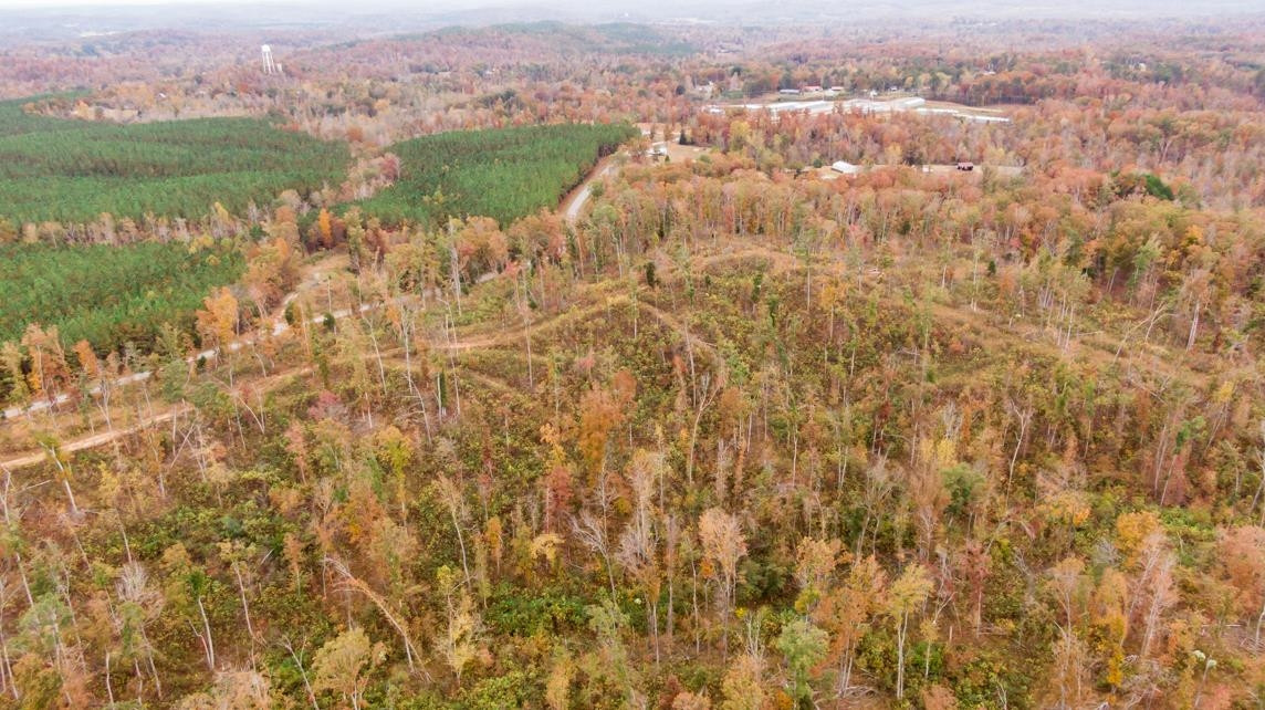 Xxxx Mouse Tail Road Parsons, TN 38363 - Photo 10 of 35 Photo 10