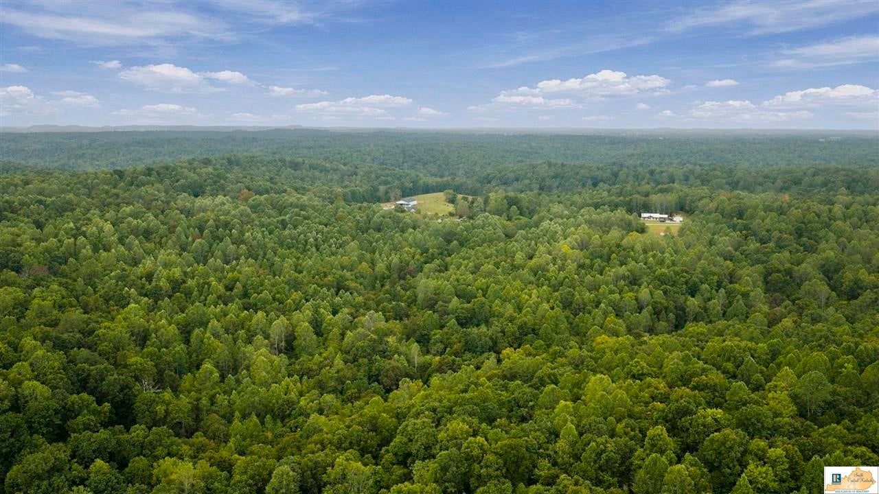 3300 Wards Road Mount Sherman, KY 42764 - Photo 71 of 71 Gallery Image 71