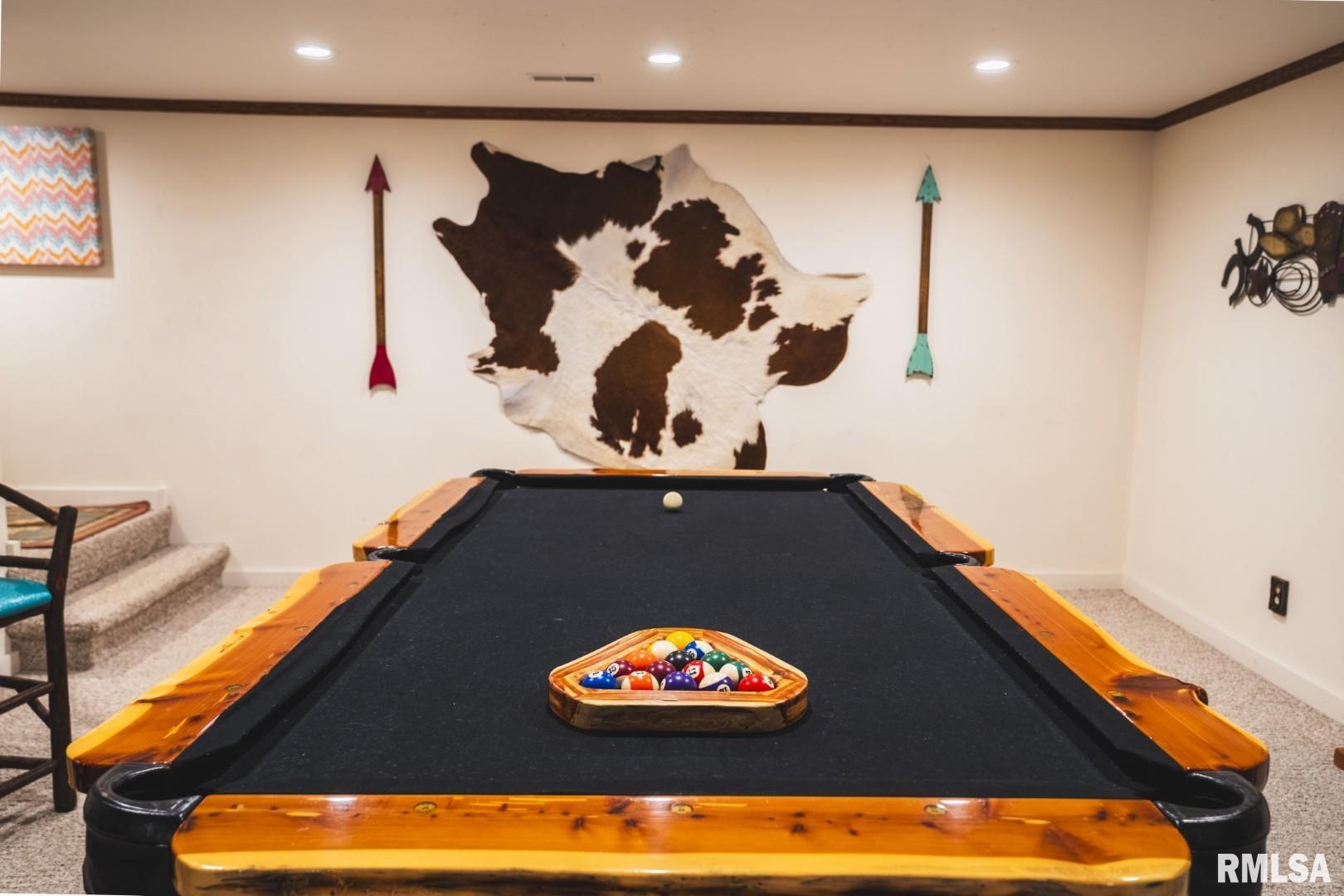 2145 Wildcat Hollow Road Nebo, IL 62355 - Photo 38 of 89