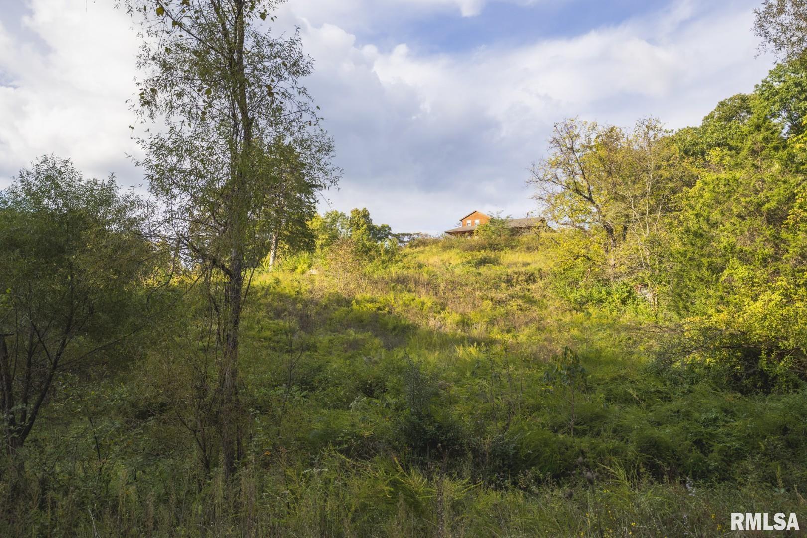 2145 Wildcat Hollow Road Nebo, IL 62355 - Photo 56 of 89