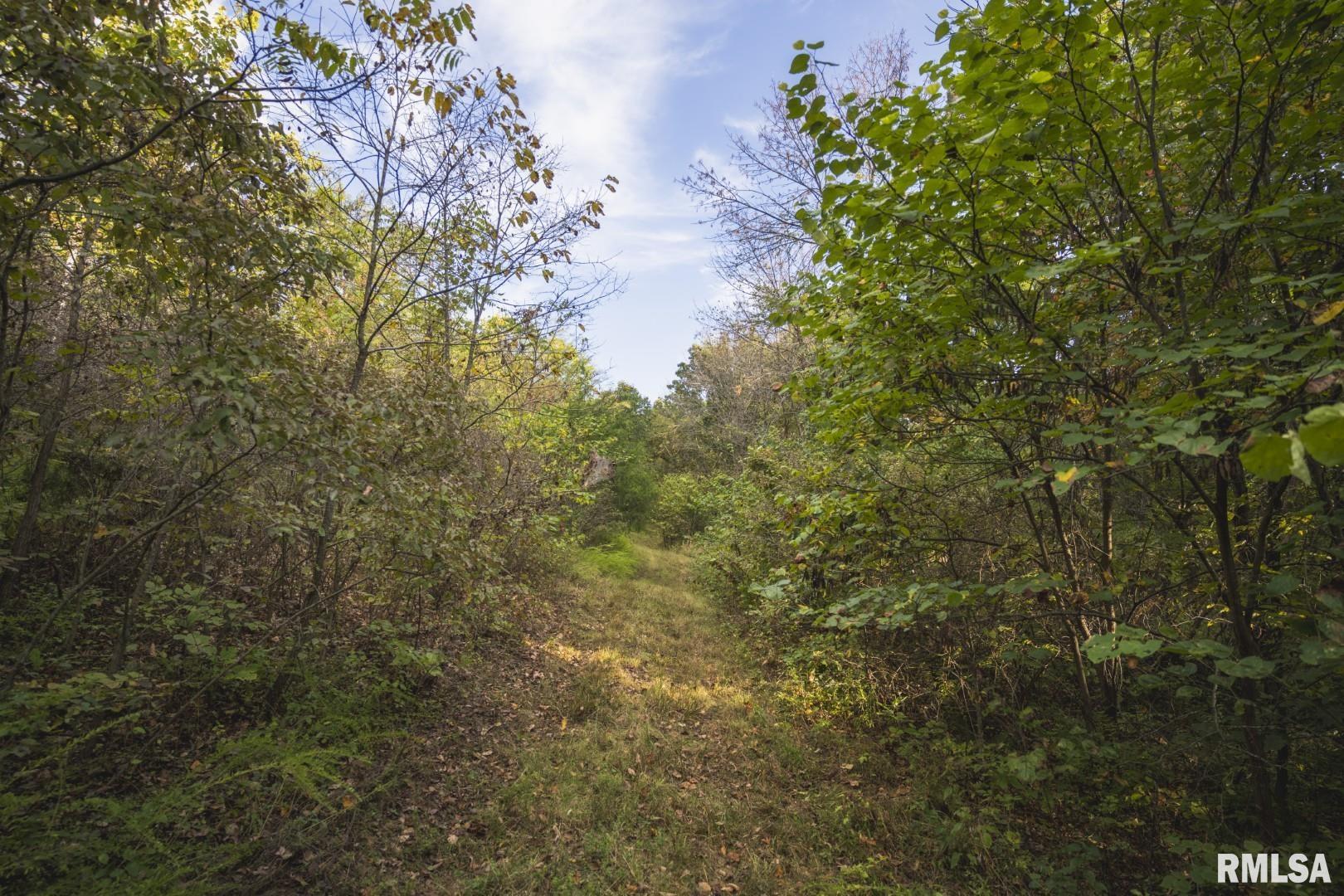 2145 Wildcat Hollow Road Nebo, IL 62355 - Photo 57 of 89