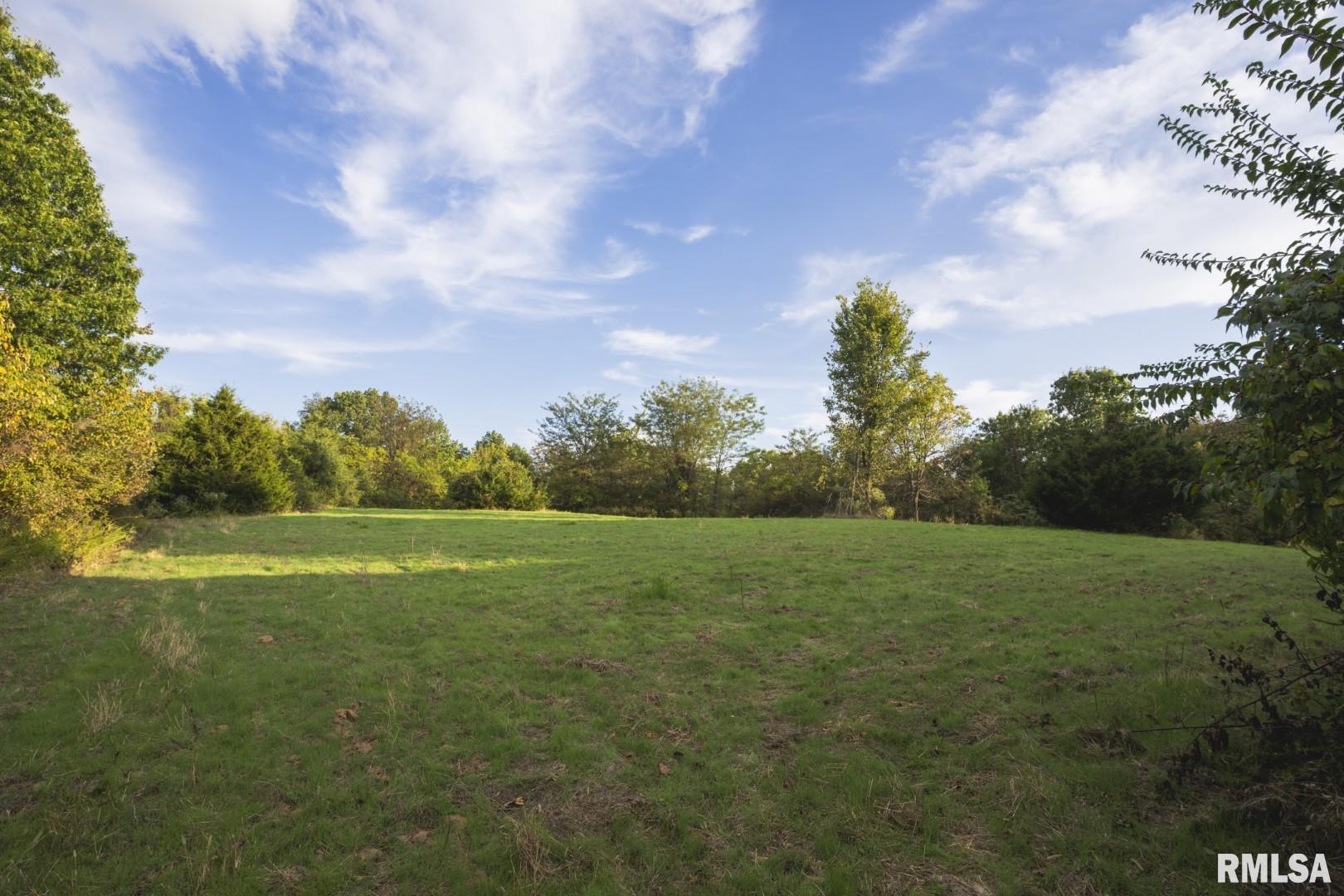 2145 Wildcat Hollow Road Nebo, IL 62355 - Photo 59 of 89