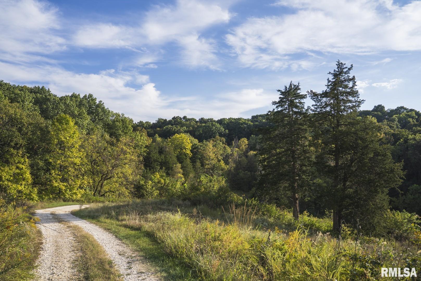 2145 Wildcat Hollow Road Nebo, IL 62355 - Photo 61 of 89