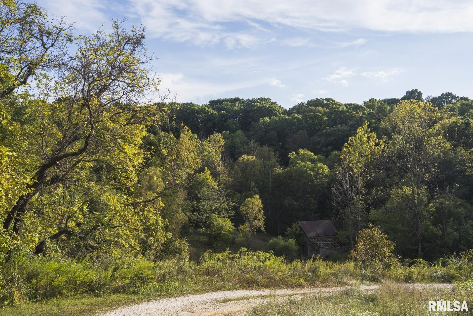 2145 Wildcat Hollow Road Nebo, IL 62355 - Photo 62 of 89