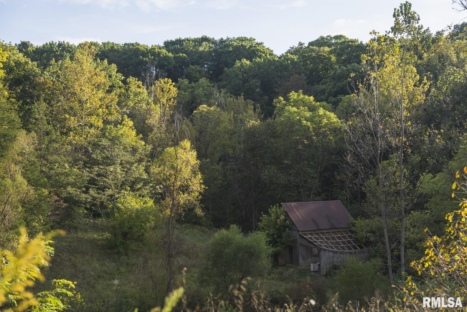 2145 Wildcat Hollow Road Nebo, IL 62355 - Photo 63 of 89