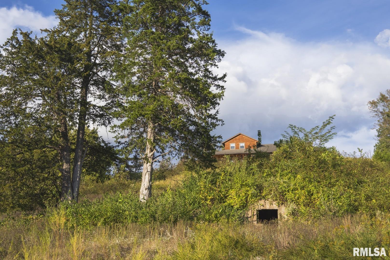 2145 Wildcat Hollow Road Nebo, IL 62355 - Photo 64 of 89