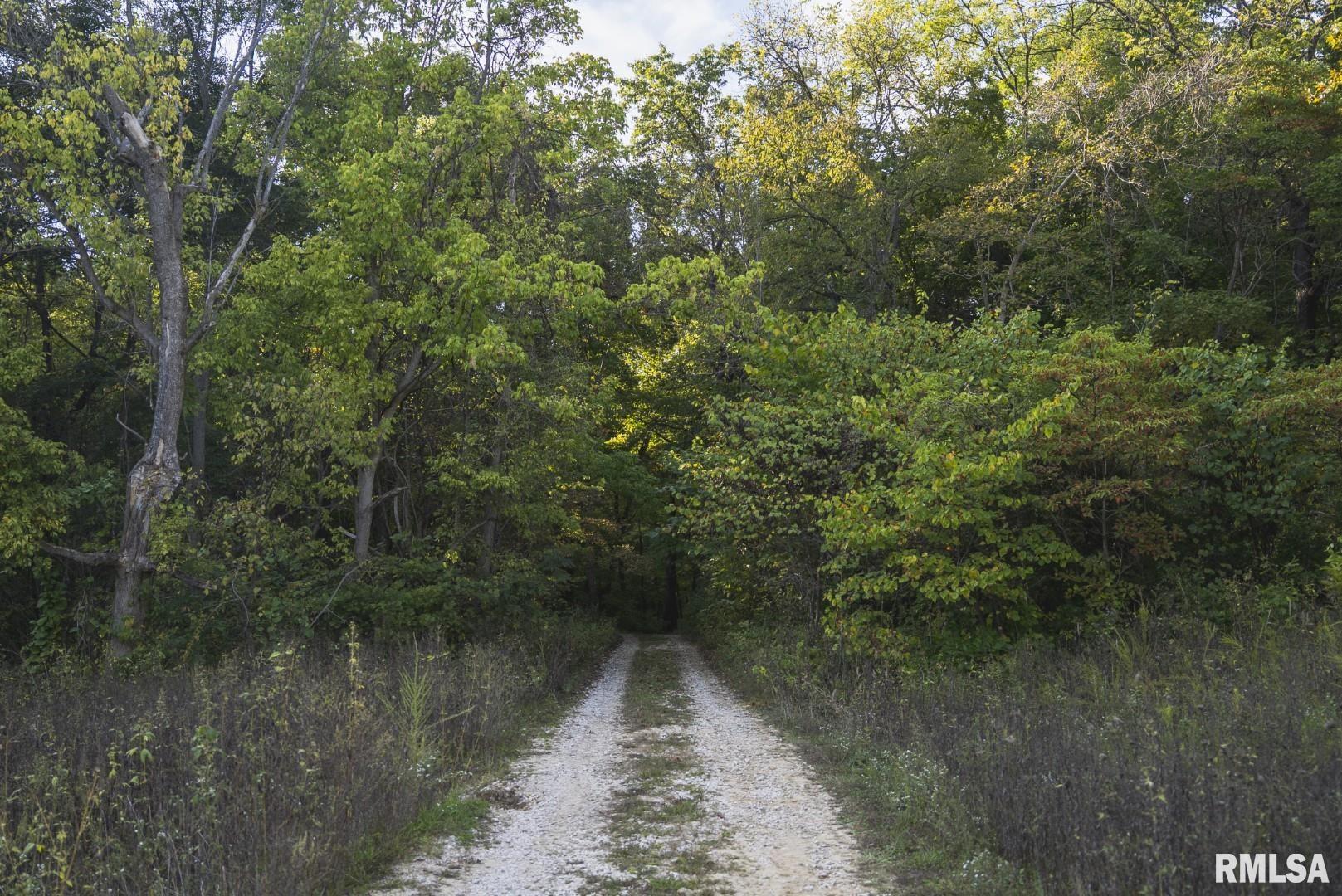 2145 Wildcat Hollow Road Nebo, IL 62355 - Photo 65 of 89