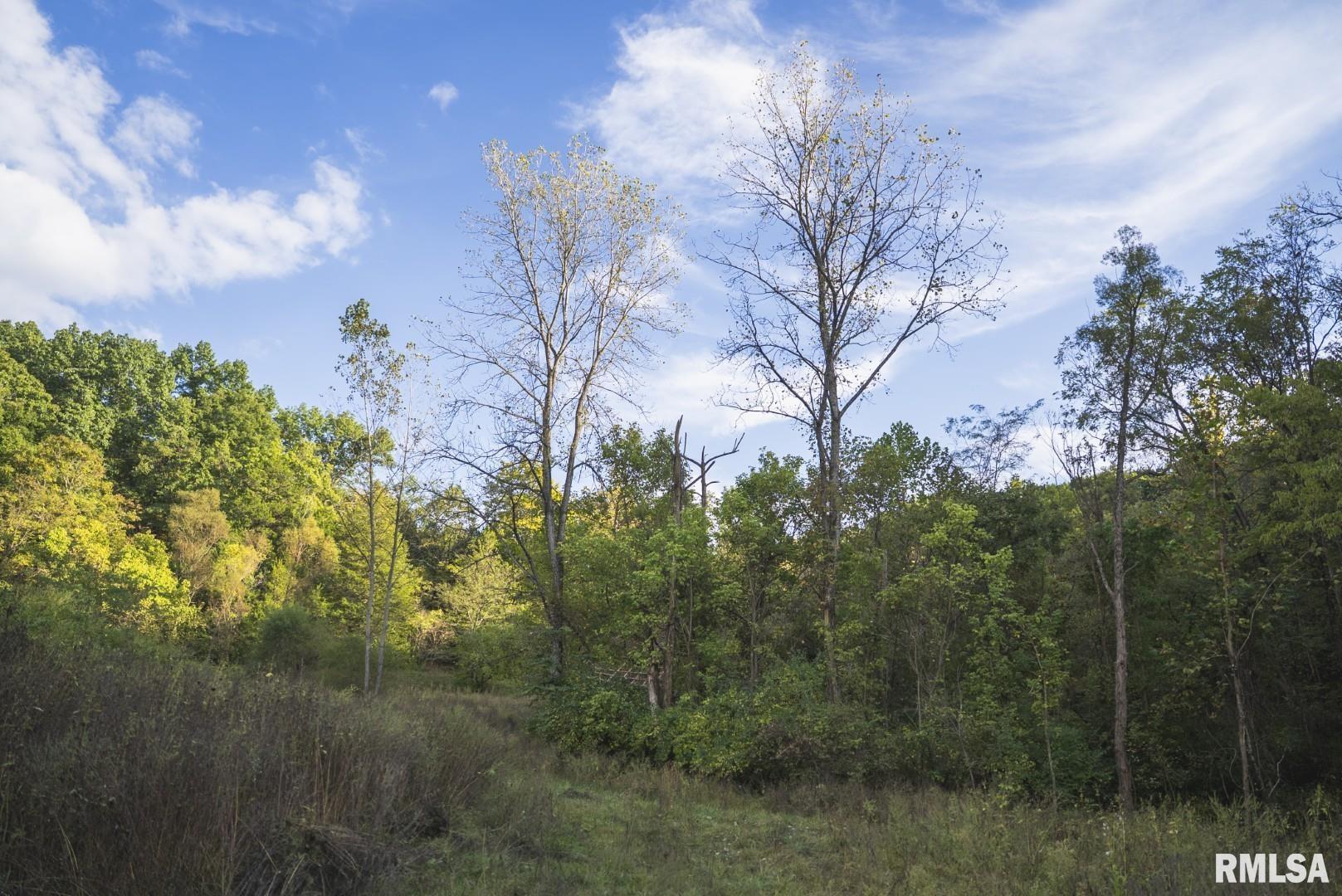 2145 Wildcat Hollow Road Nebo, IL 62355 - Photo 67 of 89