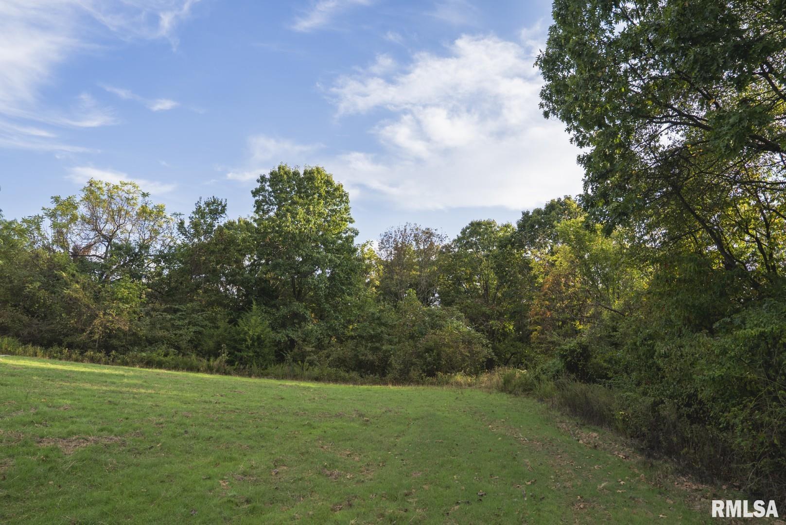 2145 Wildcat Hollow Road Nebo, IL 62355 - Photo 73 of 89