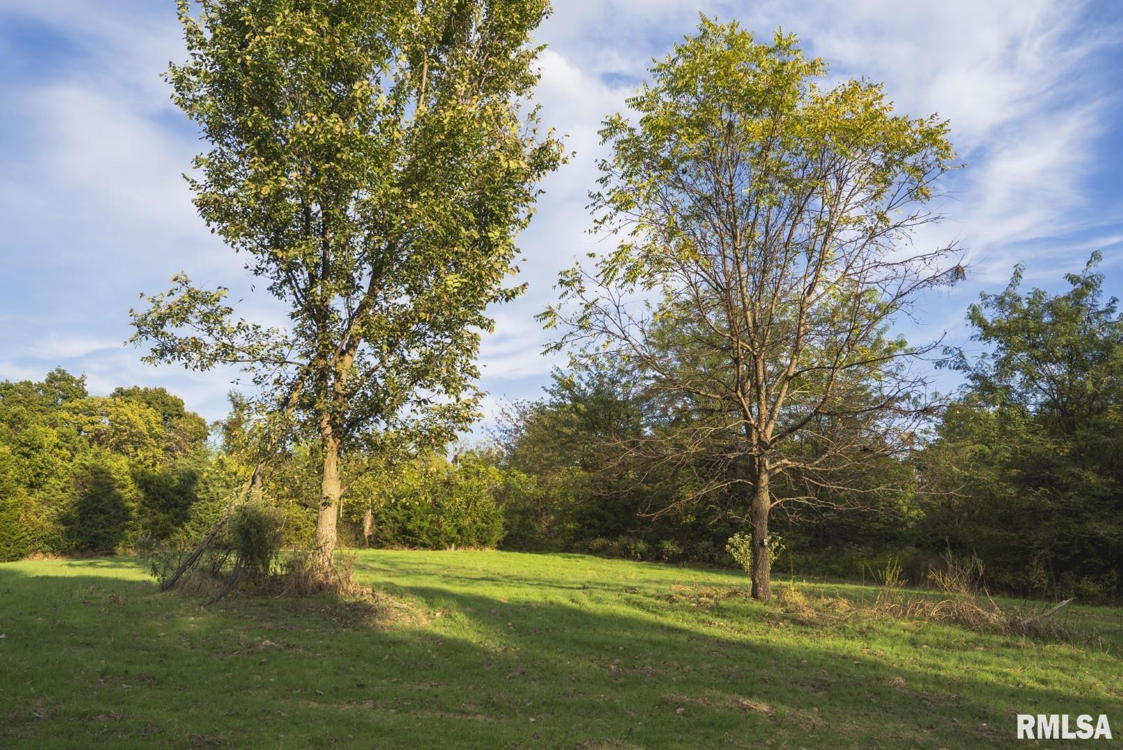 2145 Wildcat Hollow Road Nebo, IL 62355 - Photo 74 of 89