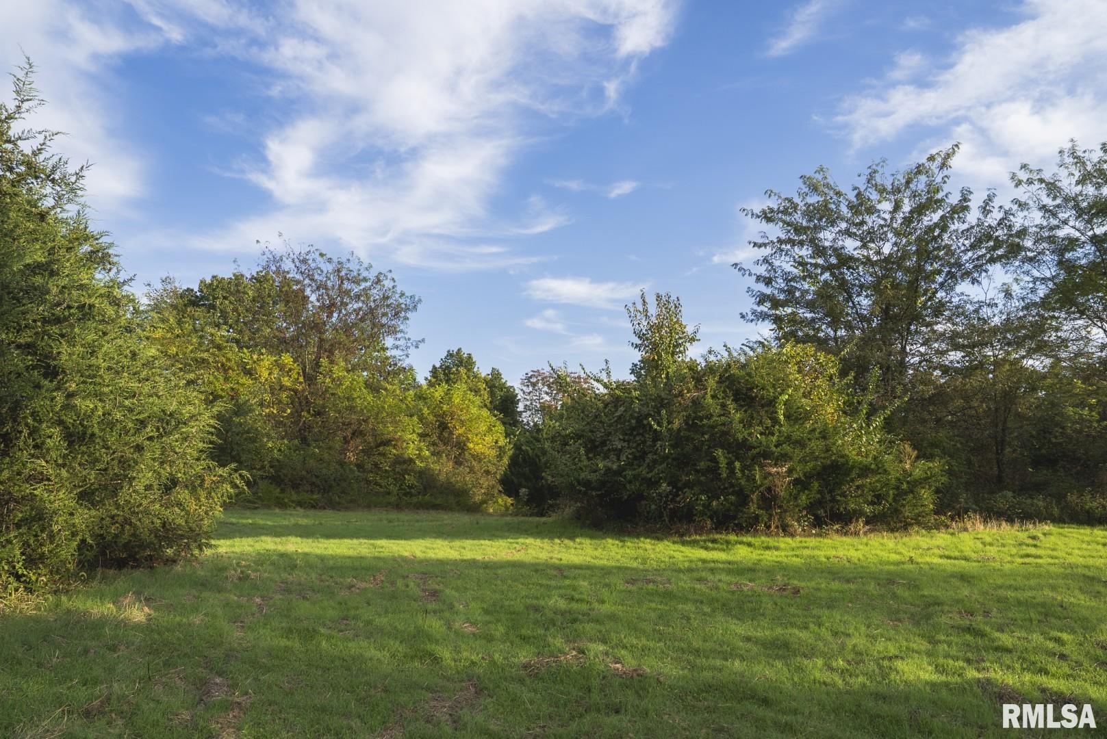 2145 Wildcat Hollow Road Nebo, IL 62355 - Photo 75 of 89