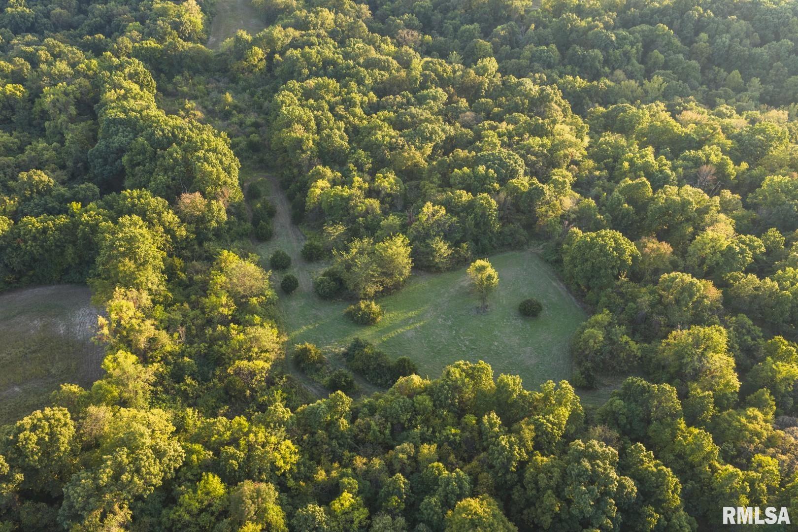 2145 Wildcat Hollow Road Nebo, IL 62355 - Photo 81 of 89