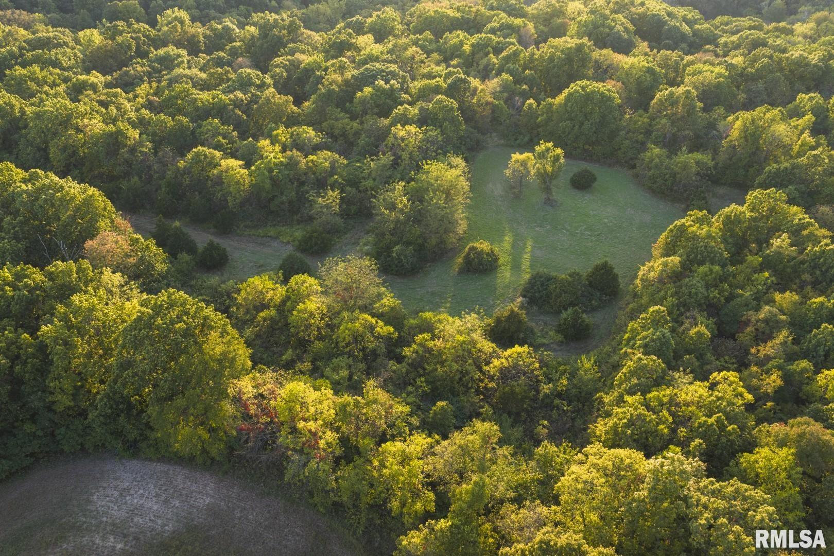 2145 Wildcat Hollow Road Nebo, IL 62355 - Photo 82 of 89