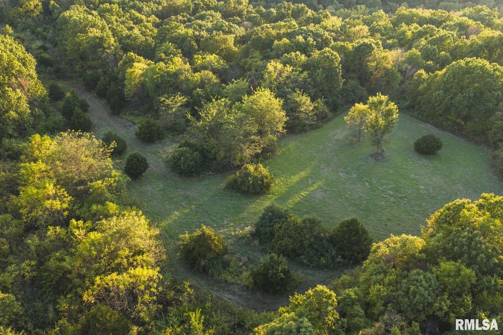 2145 Wildcat Hollow Road Nebo, IL 62355 - Photo 83 of 89