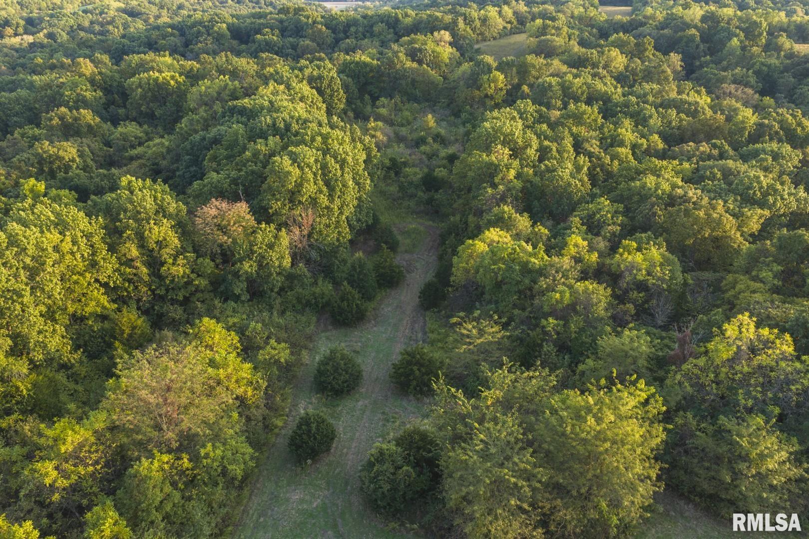 2145 Wildcat Hollow Road Nebo, IL 62355 - Photo 84 of 89