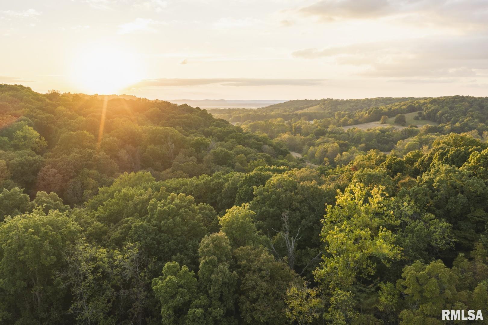 2145 Wildcat Hollow Road Nebo, IL 62355 - Photo 86 of 89