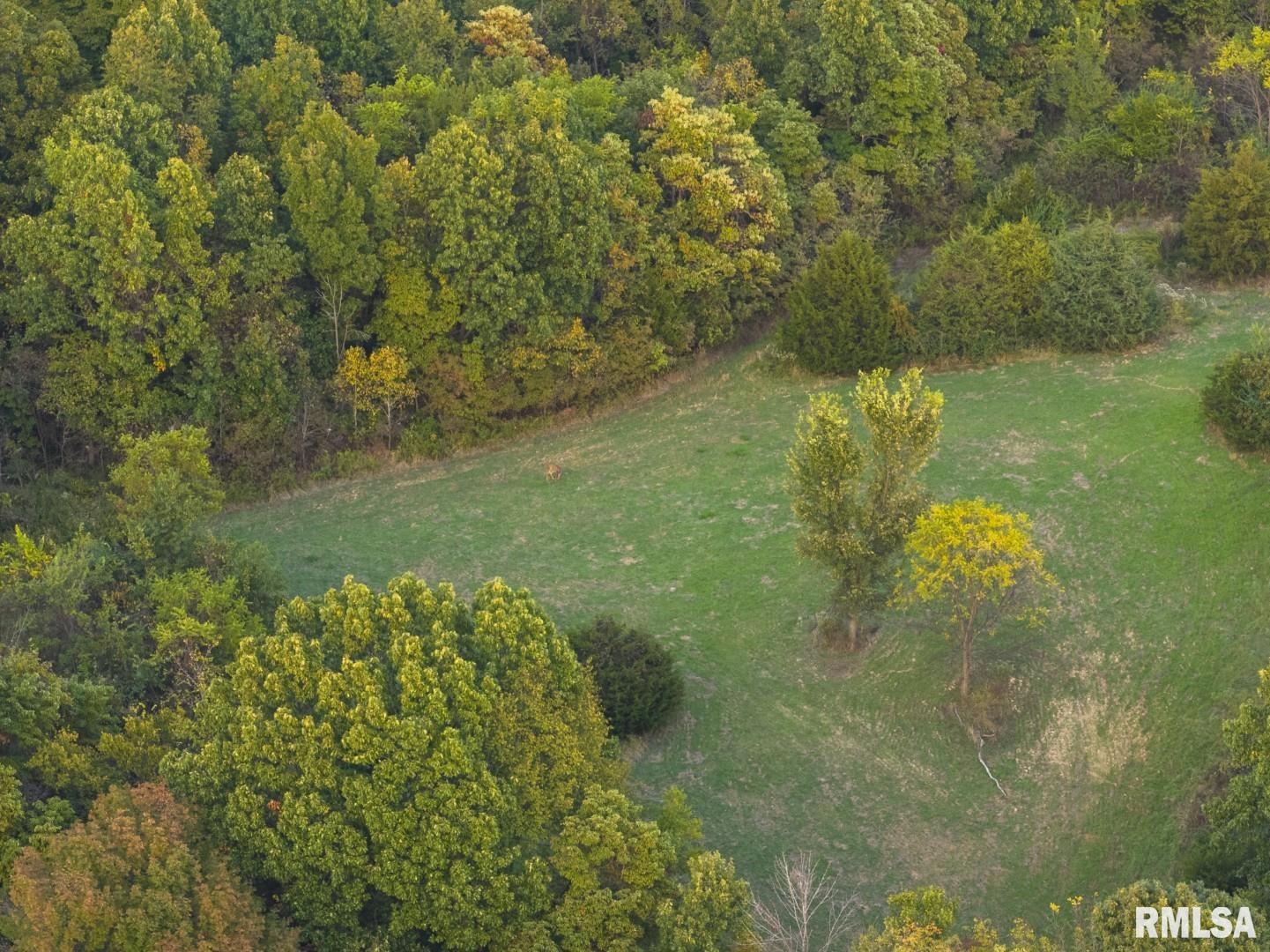 2145 Wildcat Hollow Road Nebo, IL 62355 - Photo 89 of 89