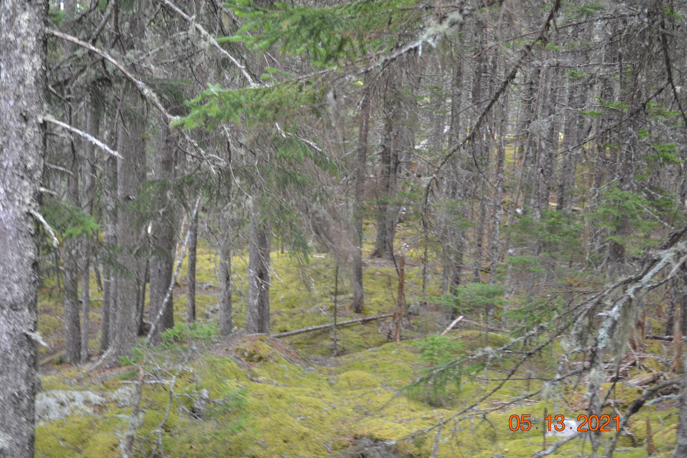 Lot 17-4 Destiny Bay Road Cutler, ME 04626 - Photo 8 of 13 DSC_0024