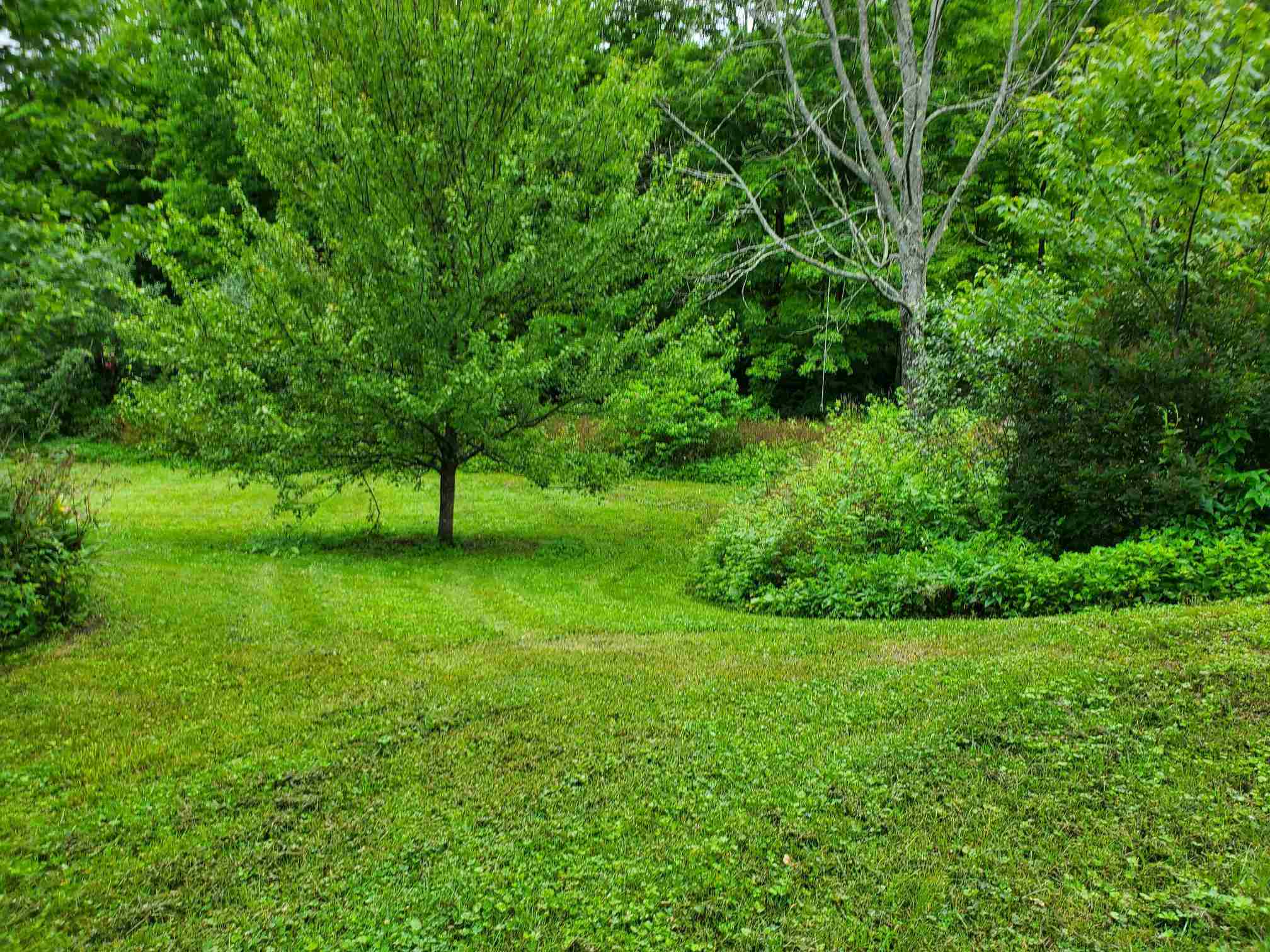 2990 Steele Hill Road Roxbury, VT 05060 - Photo 37 of 38