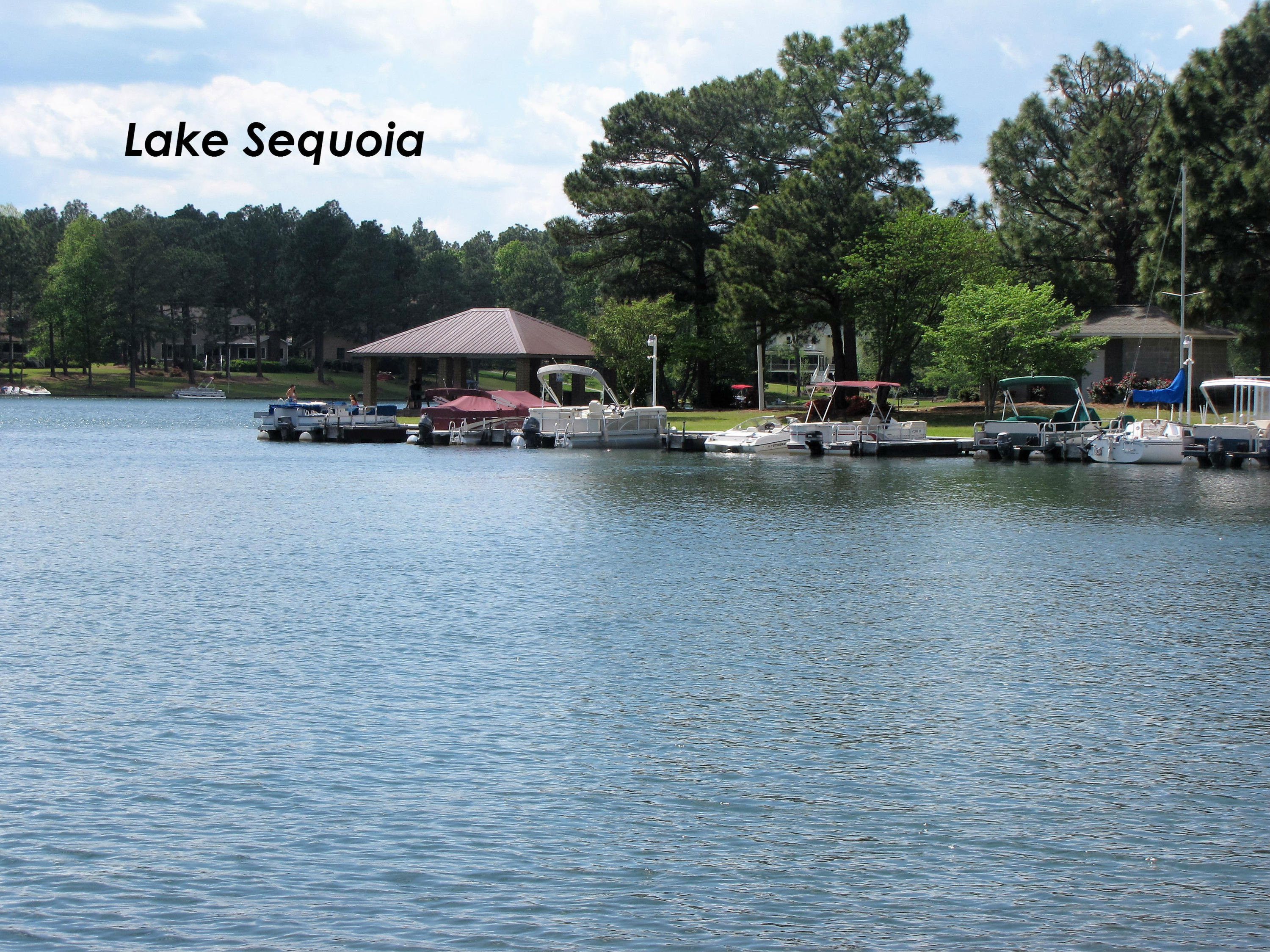 289 Firetree Lane West End, NC 27376 - Photo 2 of 37 Lake Sequoia