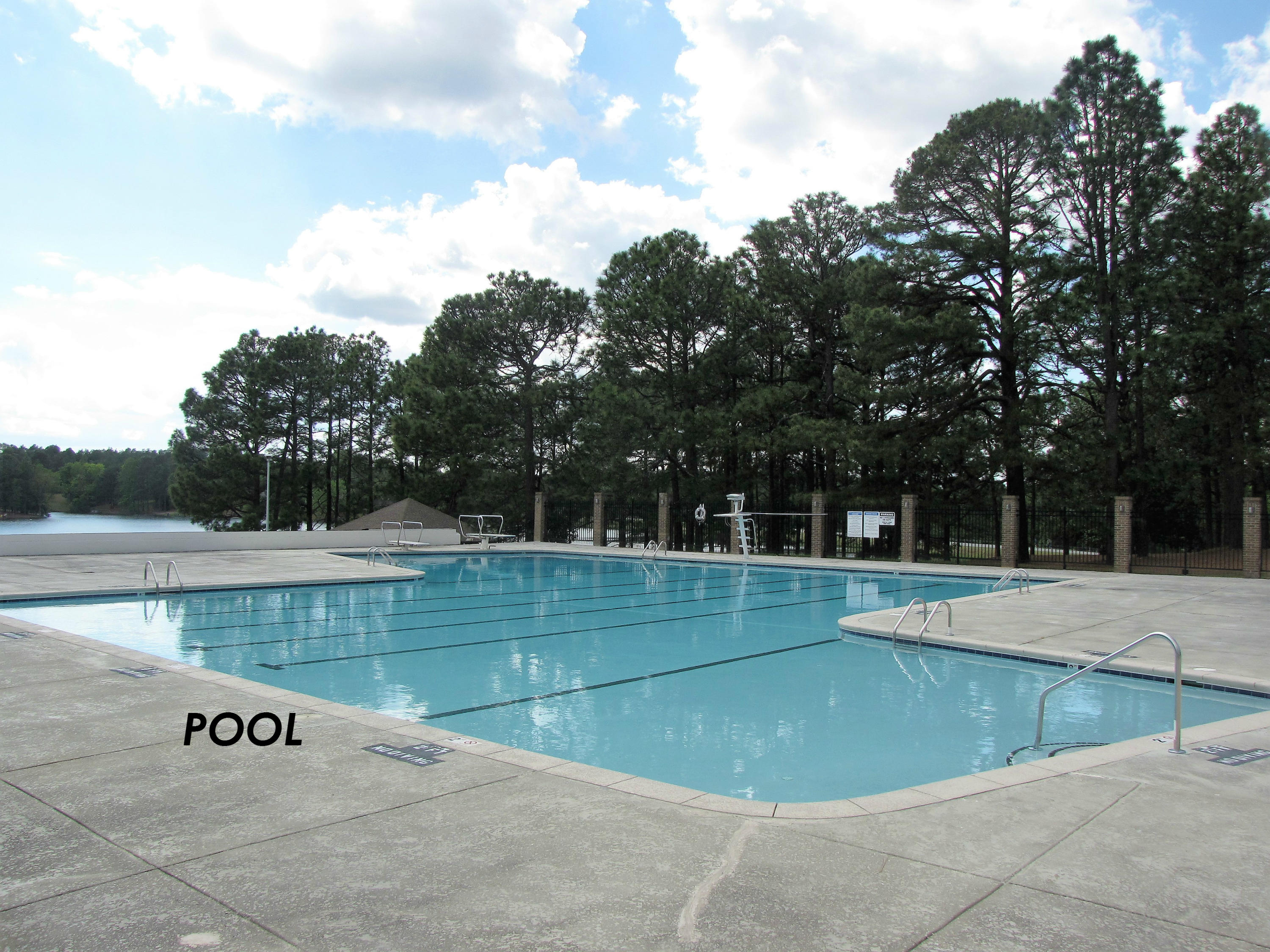 289 Firetree Lane West End, NC 27376 - Photo 34 of 37 Pool