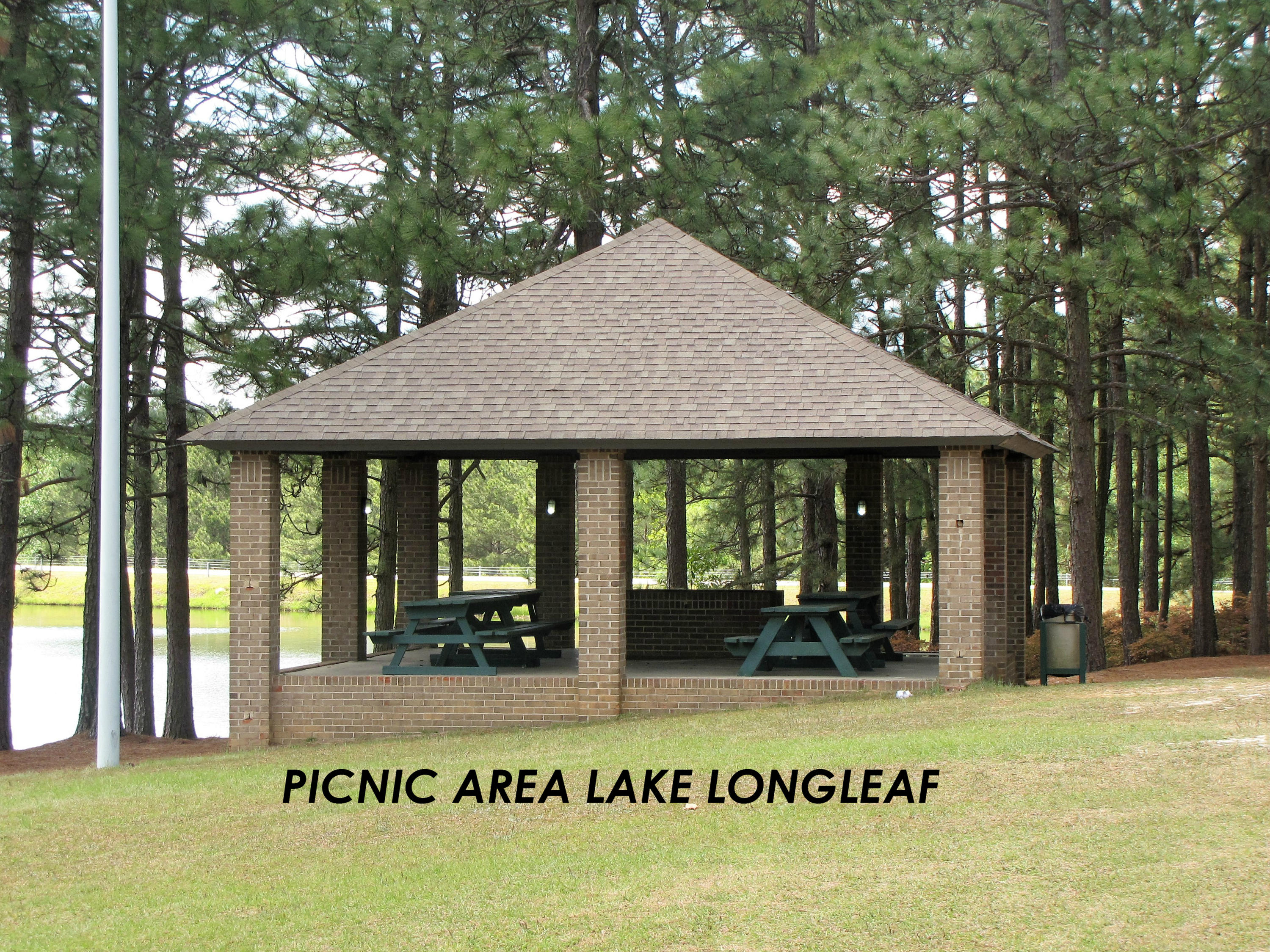 289 Firetree Lane West End, NC 27376 - Photo 35 of 37 Picnic Area