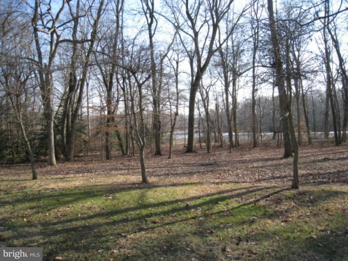 615 Stoney Battery Road Earleville, MD 21919 - Photo 24 of 30 Wooded View / Acreage
