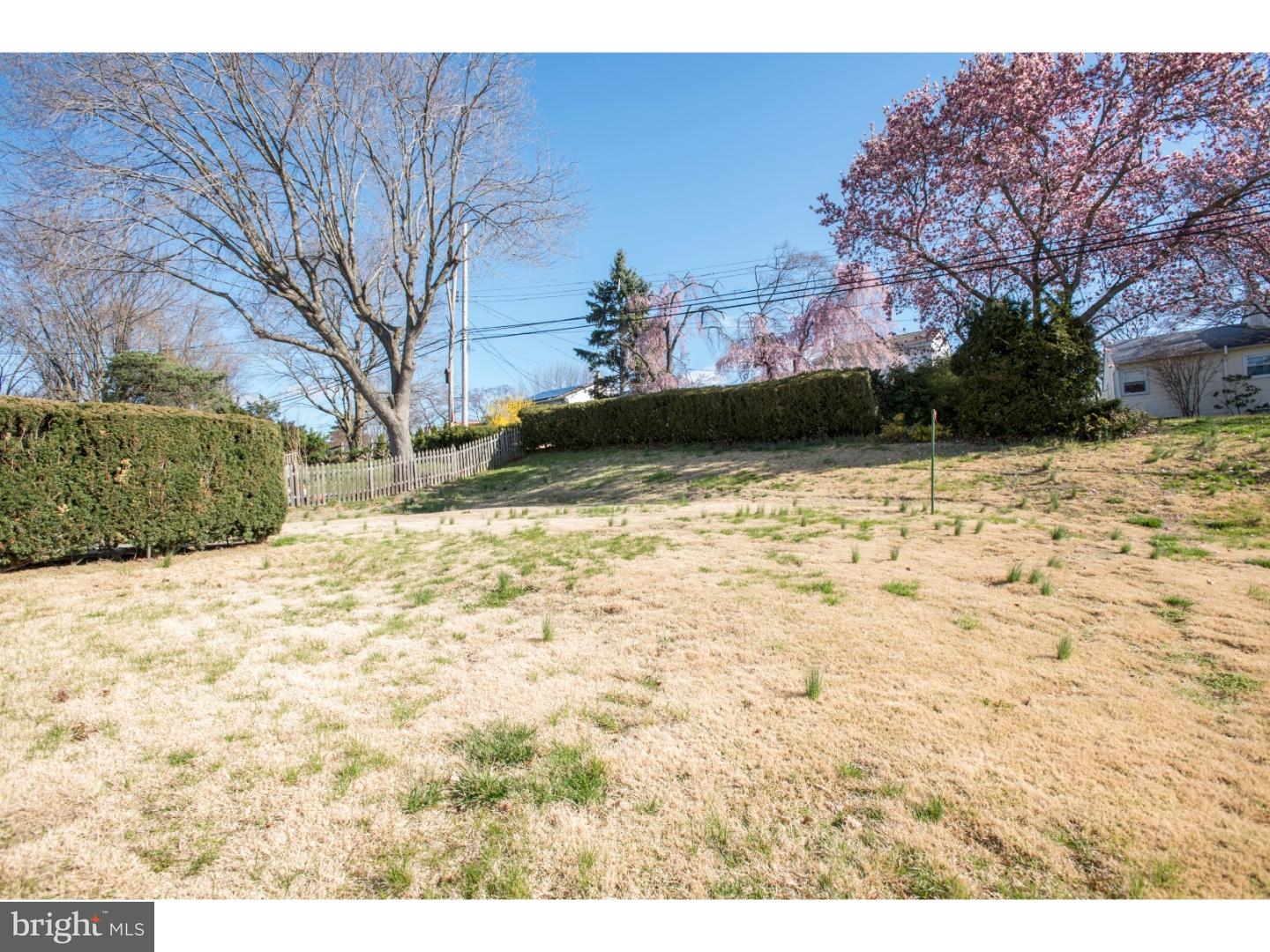 373 Ainslie Road Abington, PA 19006 - Photo 2 of 15 Back Yard