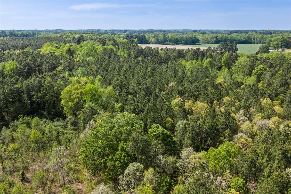 Lot 96 Sturgeon Road Lawrenceville, VA 23868 - Photo 8 of 23