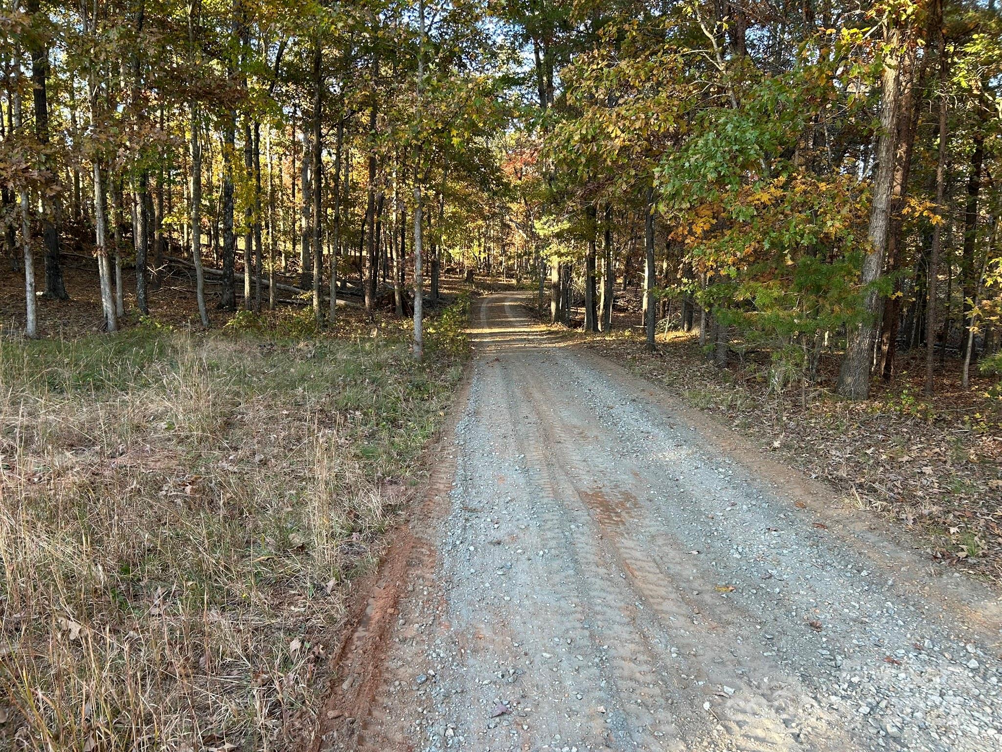 207 Wagon Lane Rutherfordton, NC 28139 - Photo 48 of 48 Gallery Image 48
