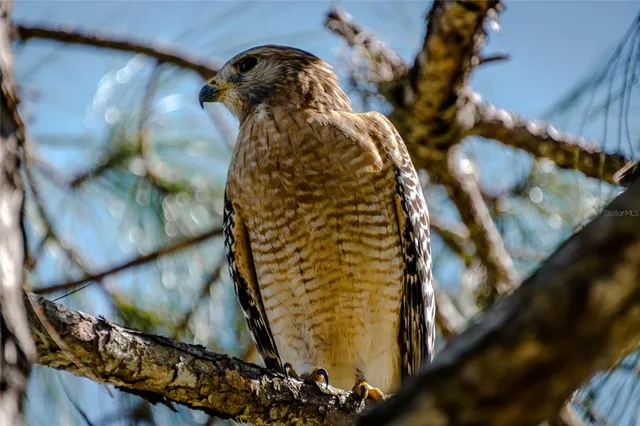 $315,000 | 11637 Old Florida Lane, Parrish, FL 34219