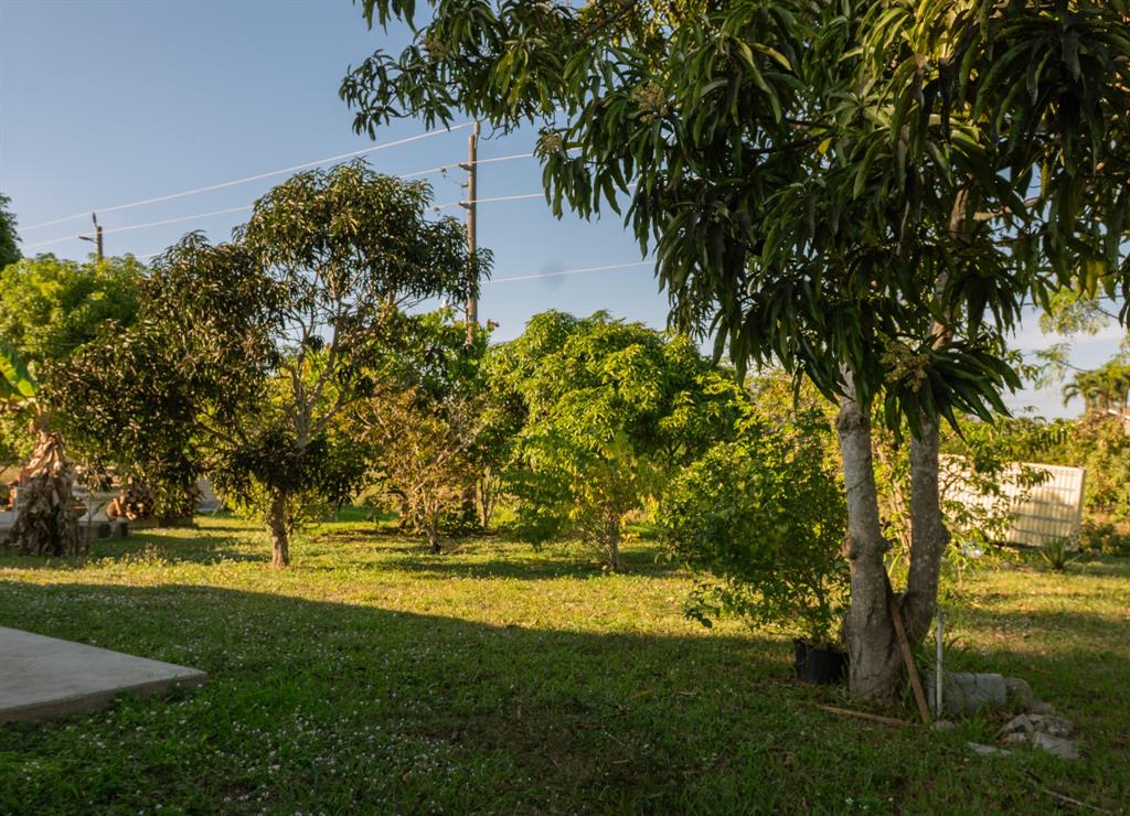 5339 Dixie Drive Naples, FL 34113 - Photo 15 of 16