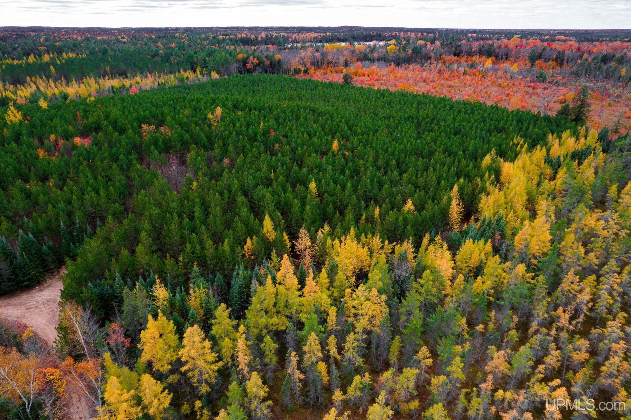160 Acres Stella Lake Road Wetmore, MI 49895 - Photo 10 of 28