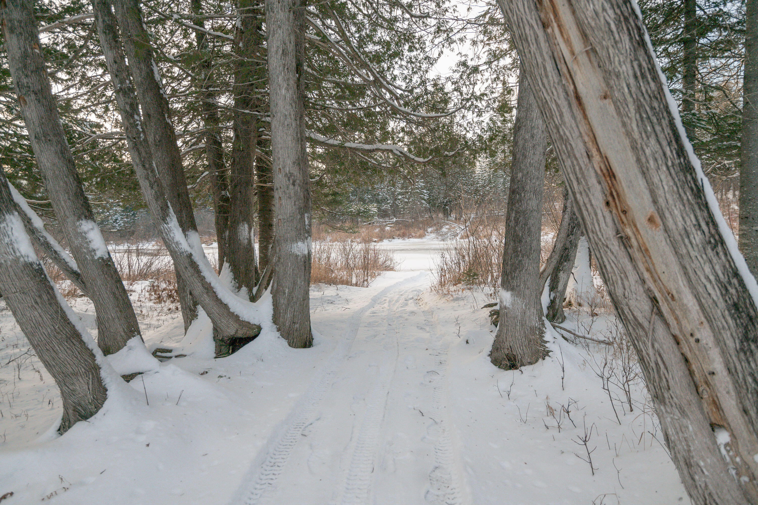 273 Lemon Stream Road New Portland, ME 04961 - Photo 29 of 34 35_273 Lemon Stream Road_PGM_Print