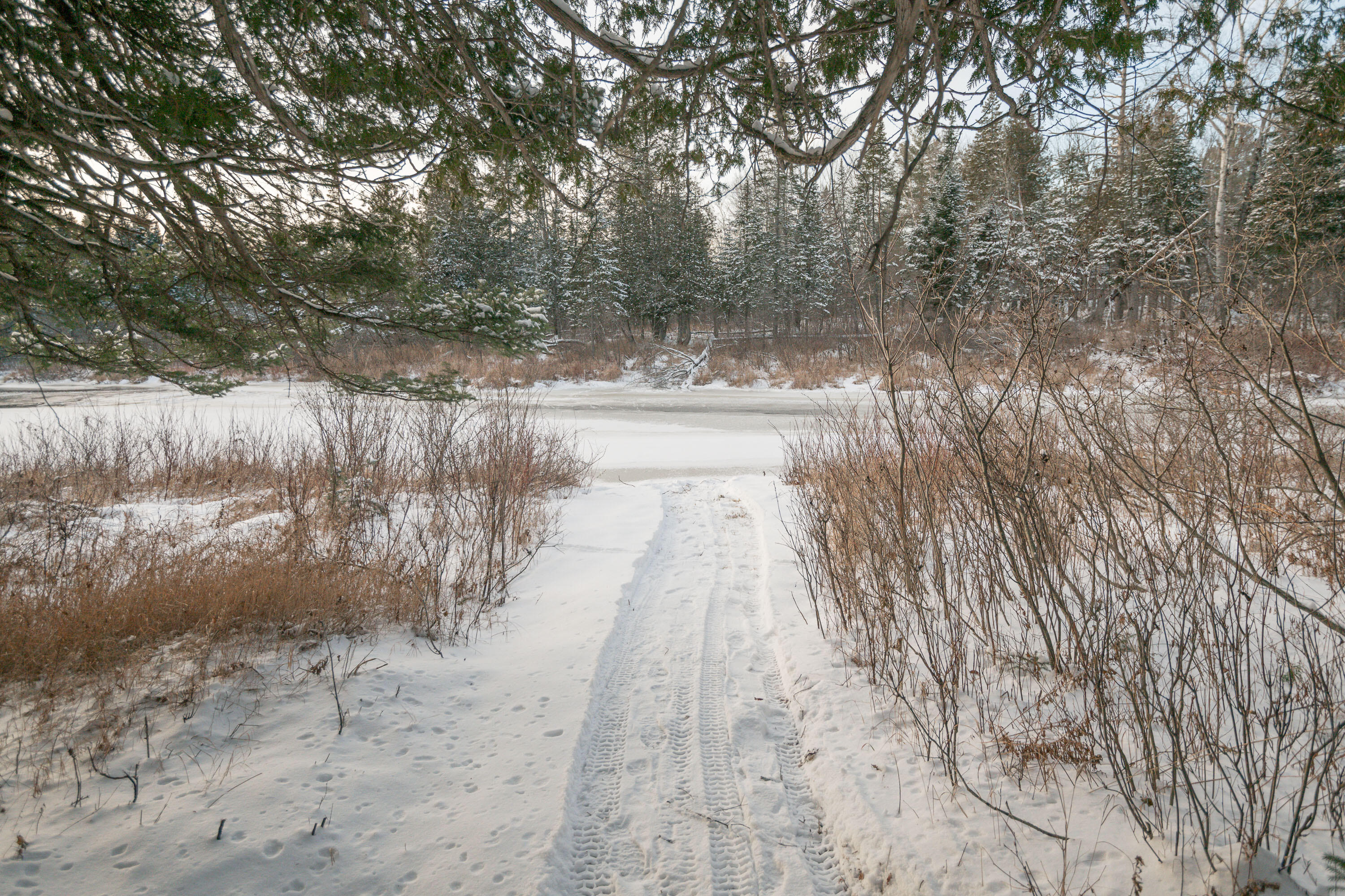 273 Lemon Stream Road New Portland, ME 04961 - Photo 30 of 34 36_273 Lemon Stream Road_PGM_Print