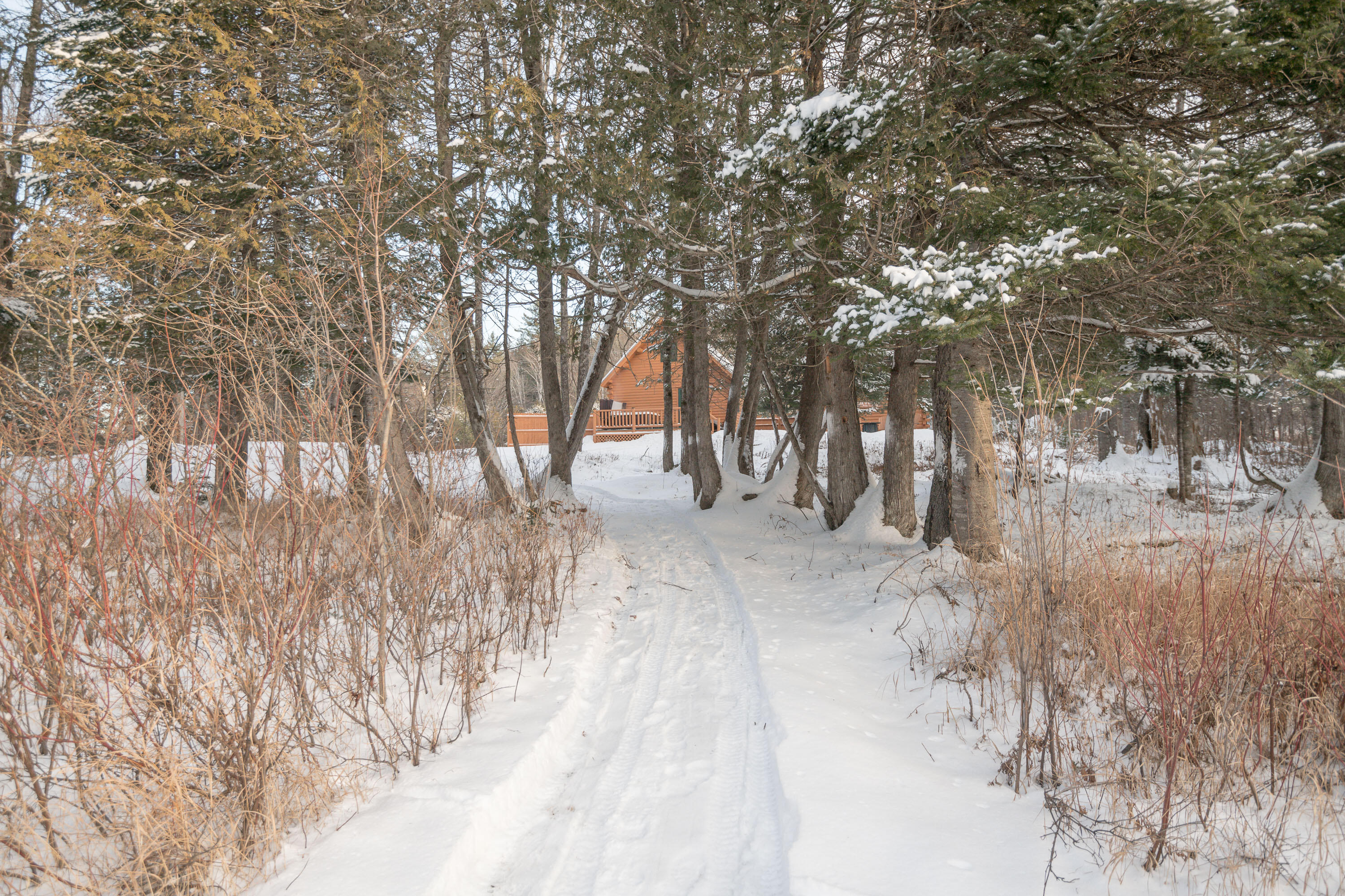 273 Lemon Stream Road New Portland, ME 04961 - Photo 31 of 34 37_273 Lemon Stream Road_PGM_Print