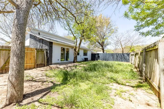 a view of a yard with plants and large tree